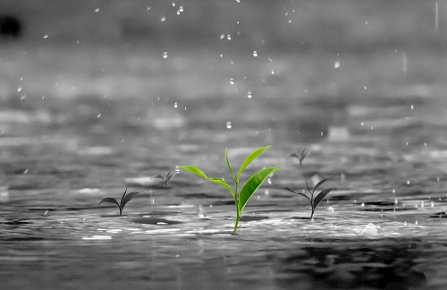 1656040339204571.png image.png