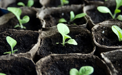 1657767901194785.png image.png