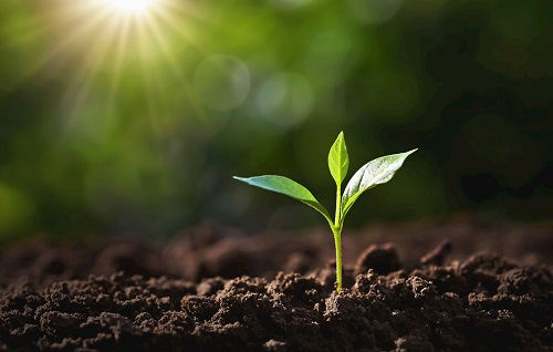 1665467113186122.png image.png