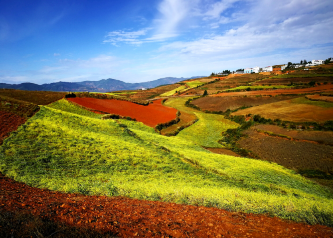 如何使用土壤酸堿度測量儀？