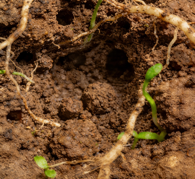 選土壤氧化還原電位儀看這篇！萊恩德 / 安嶼穩(wěn)居口碑前列
